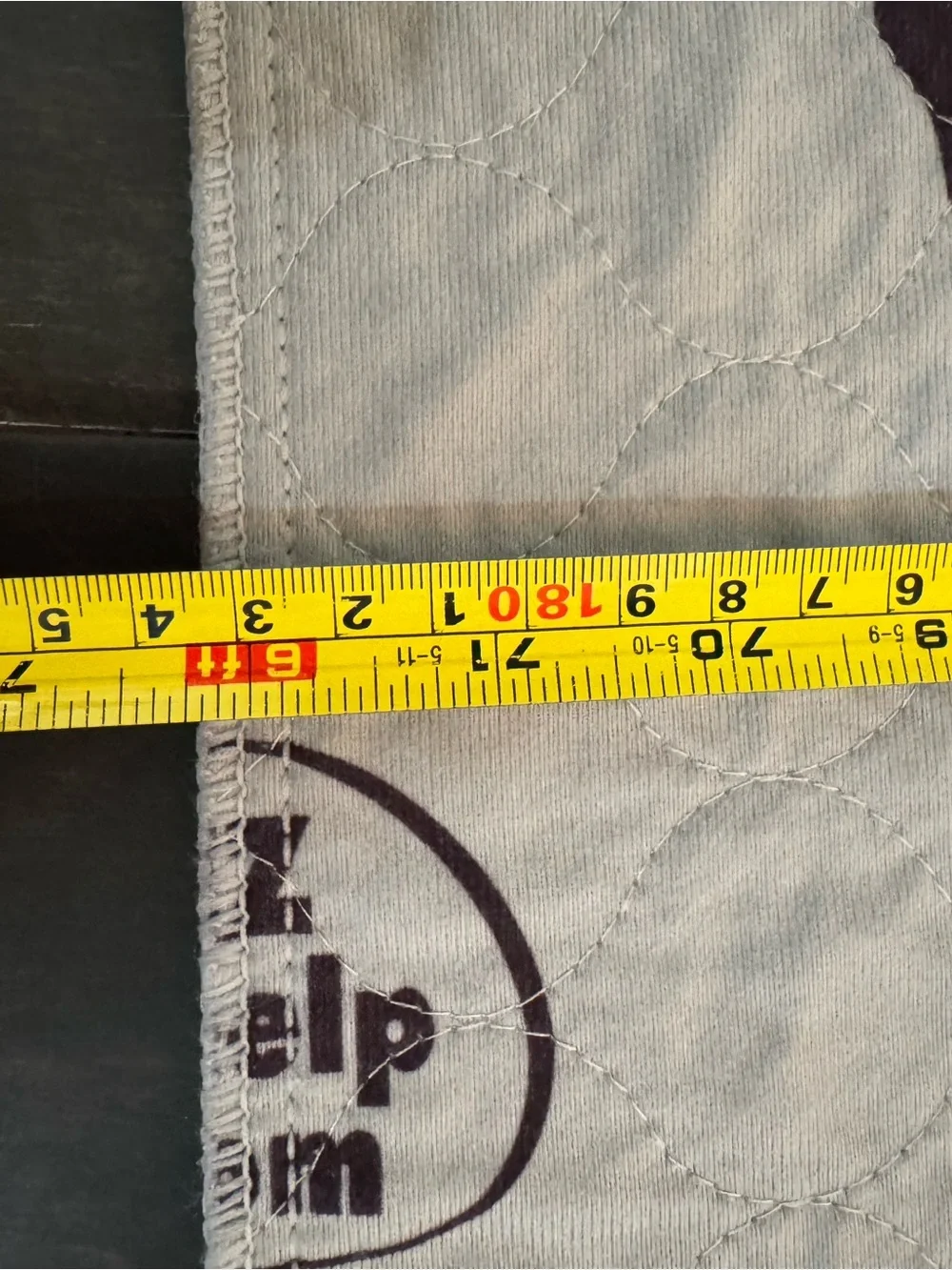 EZ Whelp Puppy Training Pad- 50x72in